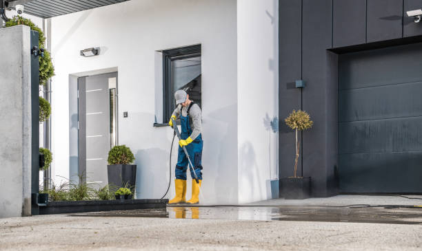 Best Pre-Holiday Cleaning  in Hampstead, NC